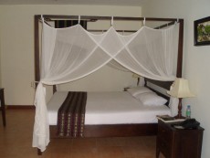 weymar new pics 211.jpg