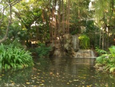 wasserfall traumhaft