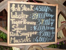 weymar new pics 283.jpg