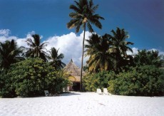 Kommt dem Paradies doch sehr nahe, oder ?