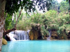 Bademoeglichkeit am Koung-Si Wasserfall. Extrem sauberes Wasser mitten im Wald und von der Faerbung der totale Kontrast zur luhmigen Mekongbruehe. Schon fast kitschig schoen.