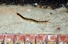 DSC01766_1.JPG