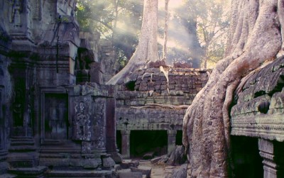 Ta Prohm am Morgen