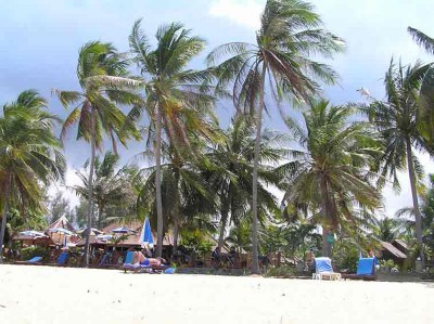 Blick vom Strand aufs Resort.. ah doch eine Plastikliege...