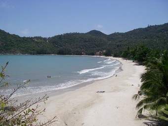 TNPY