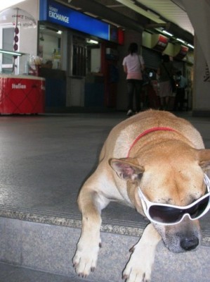 Hartes Leben an der BTS!