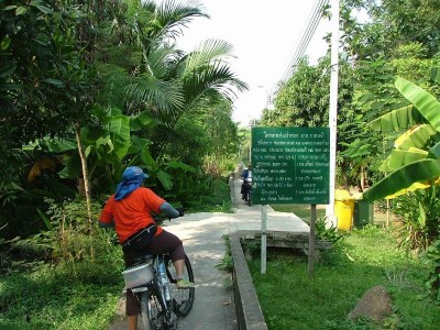 The Bangkok Djungle