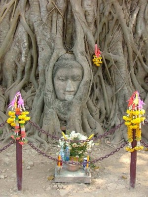 0205Ayutthaya09.JPG