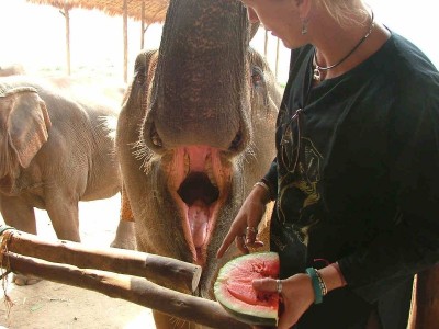 0207ElefantNaturePark05.JPG