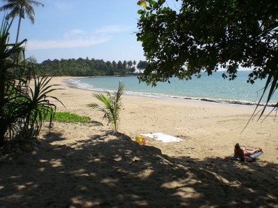 Strand 2