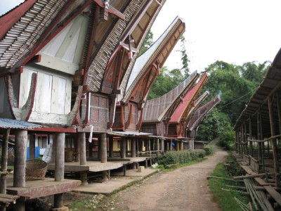 rantepao4.jpg
