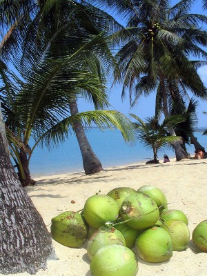 Strand vor dem Maenam Resort