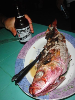 1fisch.jpg