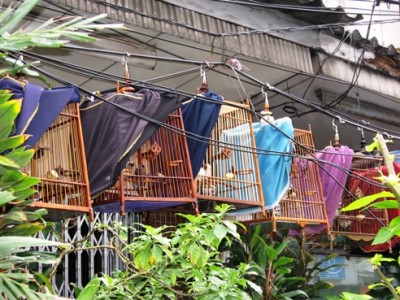 umgebung 5.JPG (159.74 KiB) 41123 mal betrachtet umgebung 5.JPG