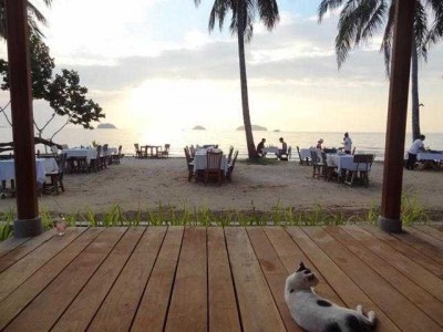 Blick von der Terrasse aus Richtung Meer