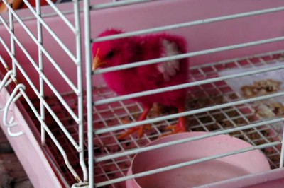 Was es alles gibt....