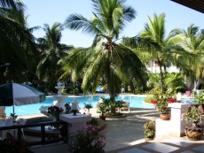 pool vom first bungalow