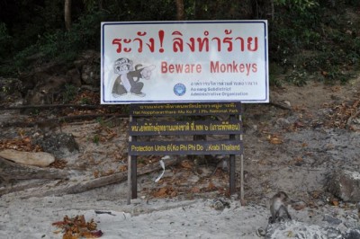 Monkey Bay