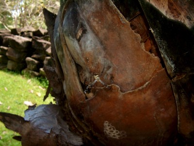 und die hier am Bayon Tempel in Angkor
