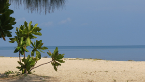 Beim Wat &quot;Habdennamenvergessen&quot;