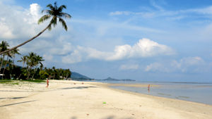 Irgendwo im Süden, auf der Suche nach der doofen Schmetterlingsfarm