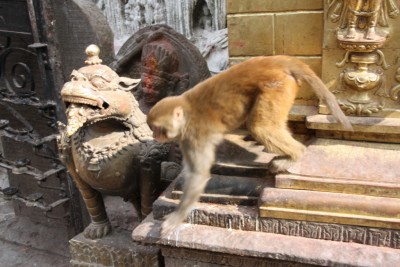 63b.Swayambhunath.JPG