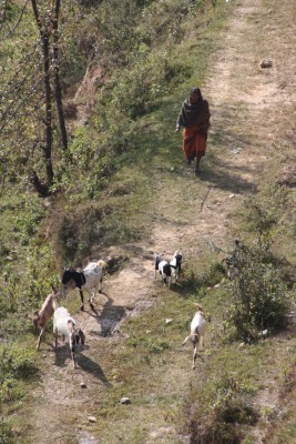 83b.Nagarkot.JPG