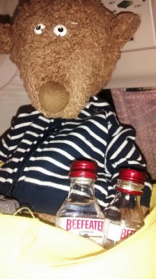 Rüdi fliegt Emirates