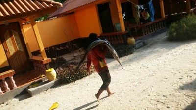 Mein Abendessen (hatte nur den Kinderteller)