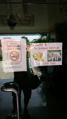 2016-08-13 20.40.38.jpg