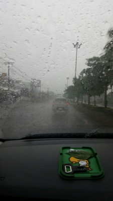 2016-08-13 20.41.03.jpg