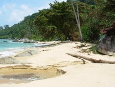 Beach auf Tioman vor unserer Tür